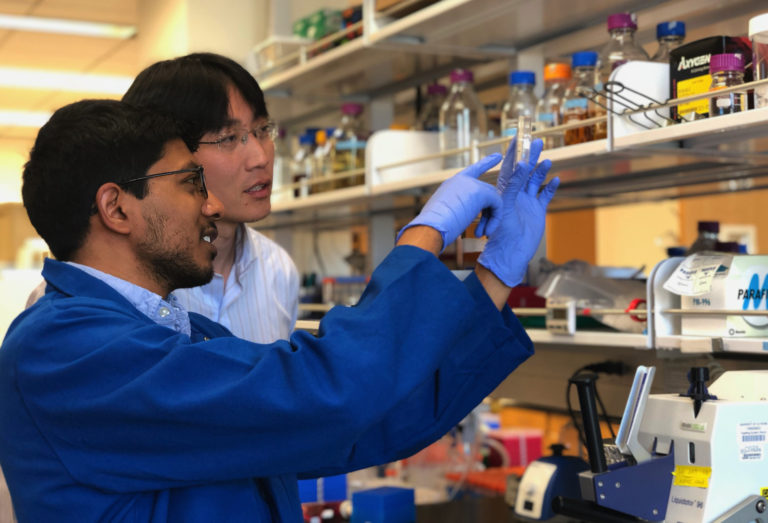 BME Liu Lab