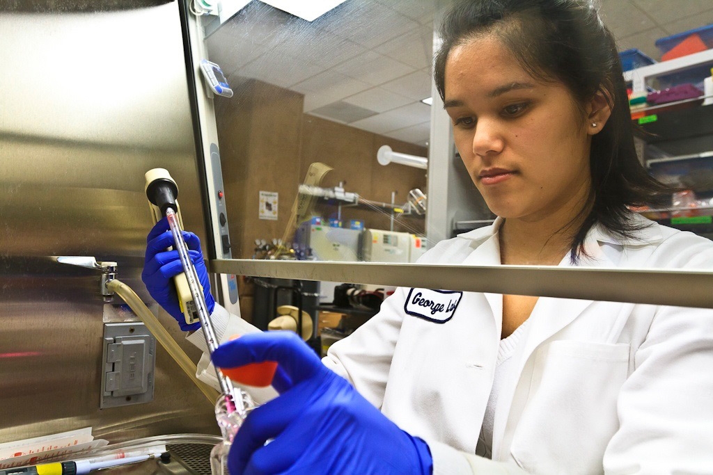 Student in lab coat working science laboratory.