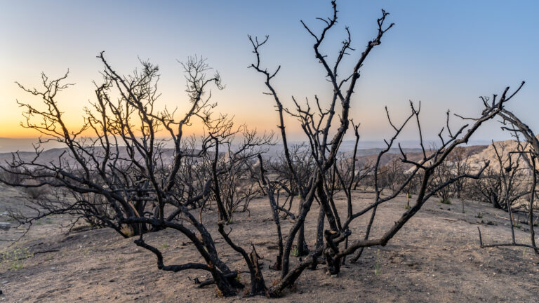 Droughts, such as the one impacting Devil’s Punchbowl on the northern slope of the San Gabriel Mountains in Los Angeles County, have increased in duration and severity over the past century. In a new study in Nature Communications, researchers in UCI’s Department of Civil & Environmental Engineering said that human-sourced greenhouse gases have been a significant factor in the growth and spread of the dry spells. Amir AghaKouchak / UCI