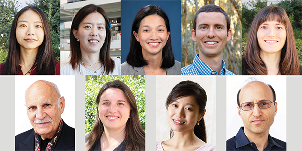 The 2024 faculty award winners are, top row from left, Yanning Shen, Han Li, Wendy Liu, David Copp and Christine King; bottom row from left, Diran Apelian, Iryna Zenyuk, Mo Li and Hamid Jafarkhani.