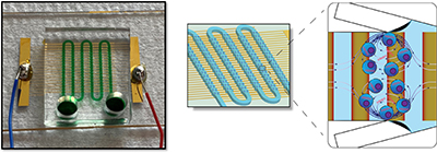 To introduce genetic coding molecules into cells, AESOP technology utilizes acoustic energy to form arrays of micro vortices. Within the micro vortices, the trapped cells are subjected to controlled mechanical shear and electric field that facilitates poration of the cell membranes and, subsequently, intracellular delivery of molecules by uniform mixing. Image by Abraham Lee, Mohammad Aghaamoo, and Joy (Yu-Hsi) Chen. Image of AESOP Microfluidic Platform and its schematic illustration