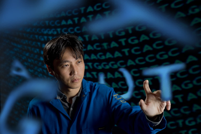 Chang Liu, UCI associate professor of biomedical engineering, who holds additional appointments in the Department of Chemistry and the Department of Molecular Biology & Biochemistry, is the recipient of an $8.4 million grant to study new ways of generating antibodies to fight disease and addiction. Steve Zylius / UCI Chang Liu, UCI associate professor of biomedical engineering, who holds additional appointments in the Department of Chemistry and the Department of Molecular Biology & Biochemistry, is the recipient of an $8.4 million grant to study new ways of generating antibodies to fight disease and addiction. Steve Zylius / UCI
