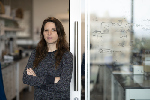 Iryna Zenyuk at her UCI lab