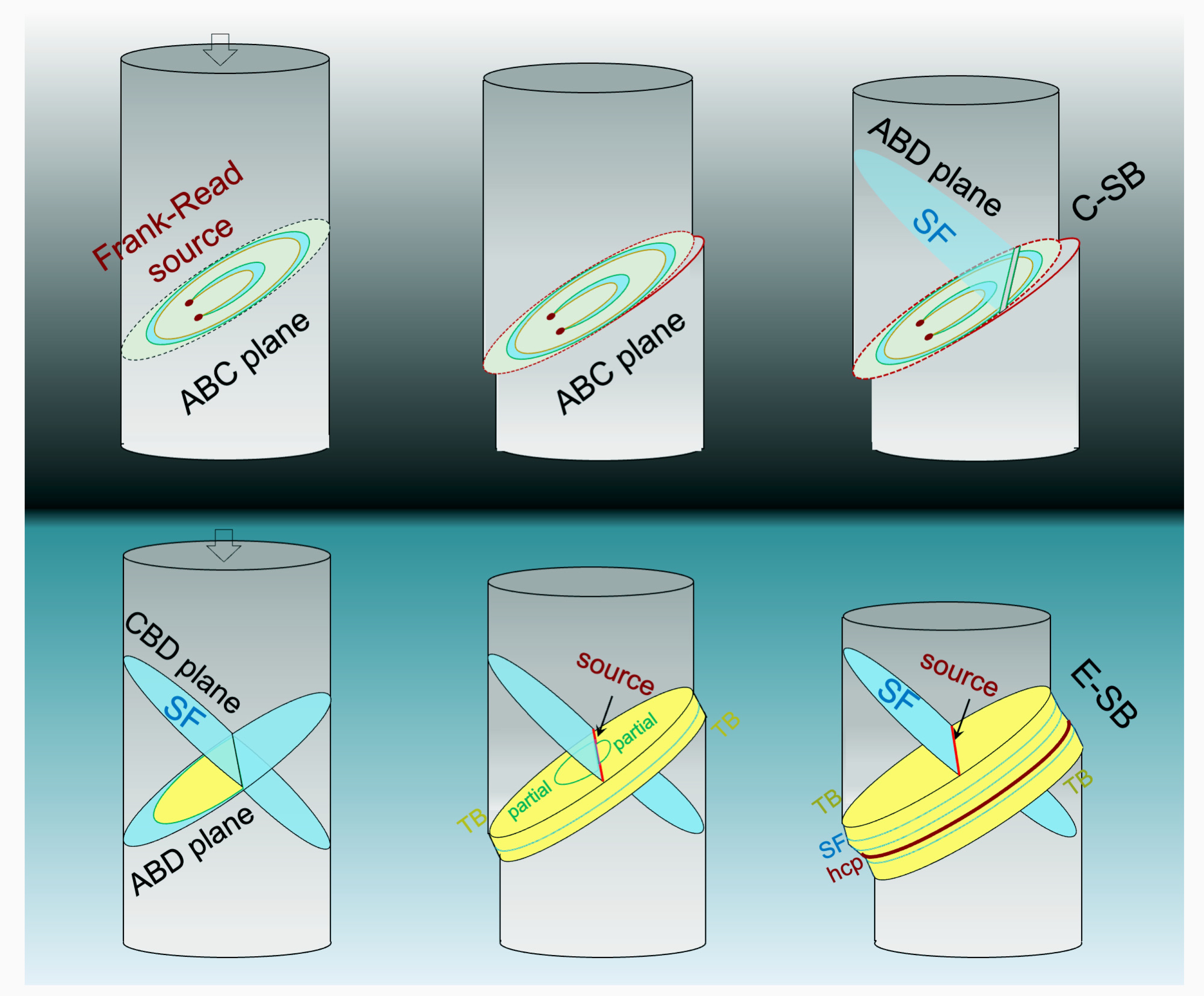 UC Irvine researchers have revealed the divergent evolution of slip banding, the process that creates deformation localization in materials under stress. The top row shows the formation of a confined slip band (C-SB) from a conventional Frank-Read source with localized glide on slip plane ABC. The bottom row displays how an extended slip band (E-SB) is generated through source deactivation and dynamic activation of new sources. This triggers partial slip and the formation of planar defects such as twin boundaries (TB), stacking faults (SF) and hexagonal close-packed (hcp) regions, resulting in band thickening along the ABD plane. Penghui Cao and Hangman Chen / UC Irvine UC Irvine researchers have revealed the divergent evolution of slip banding, the process that creates deformation localization in materials under stress. The top row shows the formation of a confined slip band (C-SB) from a conventional Frank-Read source with localized glide on slip plane ABC. The bottom row displays how an extended slip band (E-SB) is generated through source deactivation and dynamic activation of new sources. This triggers partial slip and the formation of planar defects such as twin boundaries (TB), stacking faults (SF) and hexagonal close-packed (hcp) regions, resulting in band thickening along the ABD plane. Penghui Cao and Hangman Chen / UC Irvine