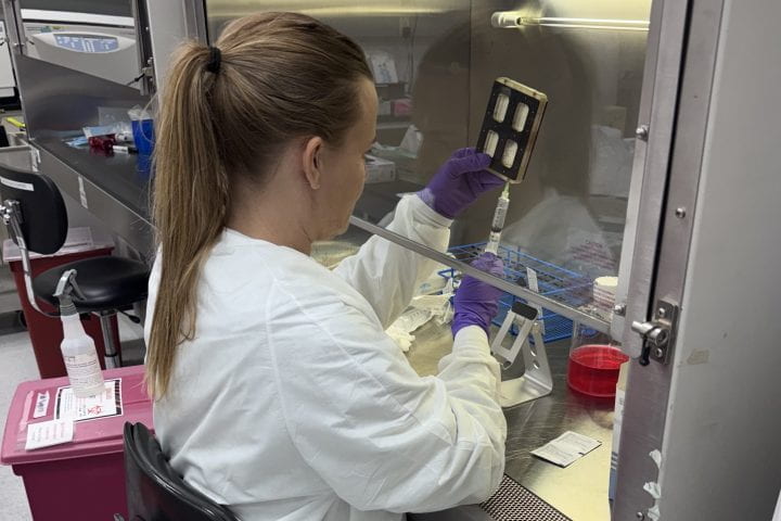 Rachel Nordberg, UC Irvine associate specialist in biomedical engineering, prepares cartilage tissue engineering cells for transport to the International Space Station.