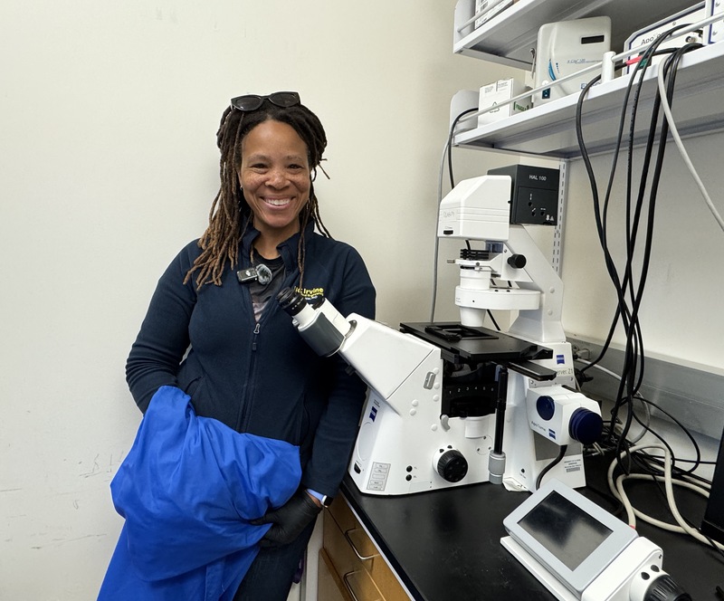 Ronke Olabisi and the inverted microscope that she uses to view cells in petri dishes in her UCI lab. (Photo: Natalie Tso/UCI) Ronke Olabisi and the inverted microscope that she uses to view cells in petri dishes in her UCI lab. (Photo: Natalie Tso/UCI)
