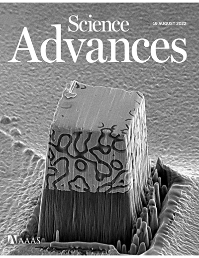 An image captured in the microscopy facilities at UCI, showing the end product of the electrodeposition of nickel around a carbon reinforcement structure, was featured on the front cover of the AAAS journal Science Advances. UCI researchers found that interpenetrating phased composites such as this can result in nano-architectures with exceptional strength and crush resistance. Marti Sala-Casanovas / UCI An image captured in the microscopy facilities at UCI, showing the end product of the electrodeposition of nickel around a carbon reinforcement structure, was featured on the front cover of the AAAS journal Science Advances. UCI researchers found that interpenetrating phased composites such as this can result in nano-architectures with exceptional strength and crush resistance. Marti Sala-Casanovas / UCI