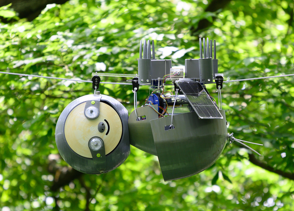 The SlothBot hanging from a tree The SlothBot hanging from a tree