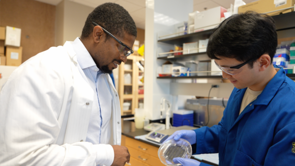 Quinton Smith is looking at a silicon wafer mold of microfluidic channels made by his Ph.D. student Eric Wang. (Photo: Natalie Tso/UCI) Quinton Smith is looking at a silicon wafer mold of microfluidic channels made by his Ph.D. student Eric Wang. (Photo: Natalie Tso/UCI)