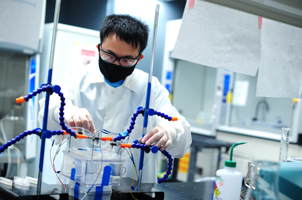 Doctoral student Tai Le works on a system that can record electrophysiological signals from four fish simultaneously for over an hour.