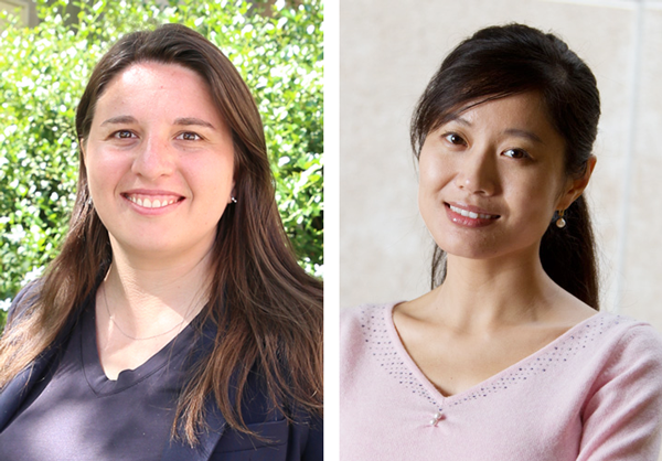 Iryna Zenyuk (left) and Mo Li are working together on an NSF-funded project to assess the feasibility of a lower-temperature, renewable cement manufacturing process. Iryna Zenyuk (left) and Mo Li are working together on an NSF-funded project to assess the feasibility of a lower-temperature, renewable cement manufacturing process.